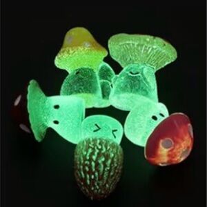 Mini Mushroom People Terrarium